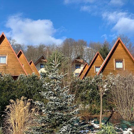 Domki Nad Solina Czarny Kot 509-797-777 エクステリア 写真