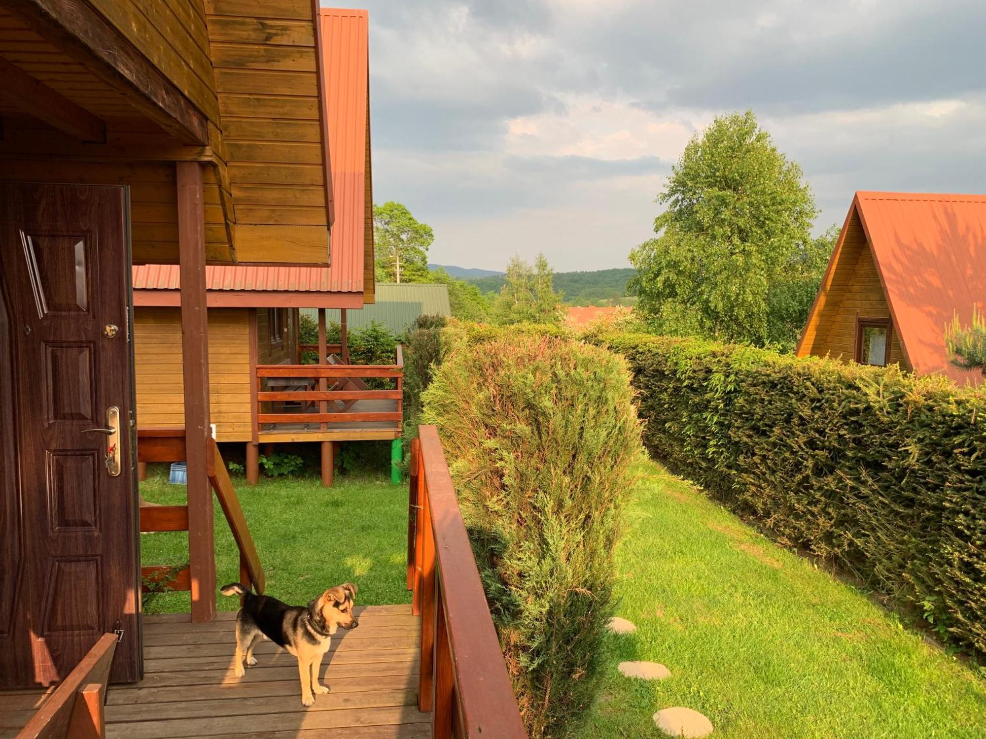 Domki Nad Solina Czarny Kot 509-797-777 エクステリア 写真