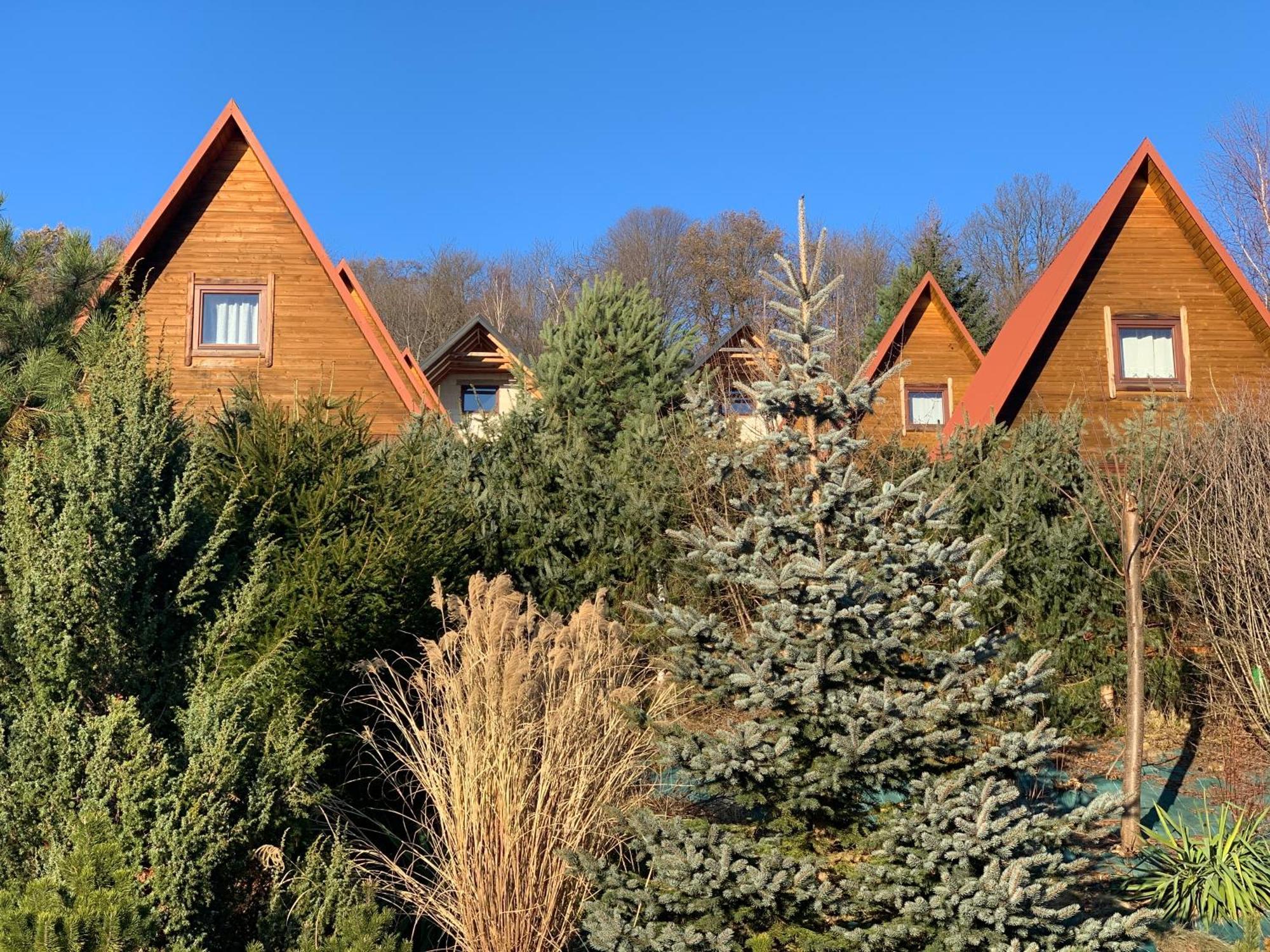 Domki Nad Solina Czarny Kot 509-797-777 エクステリア 写真